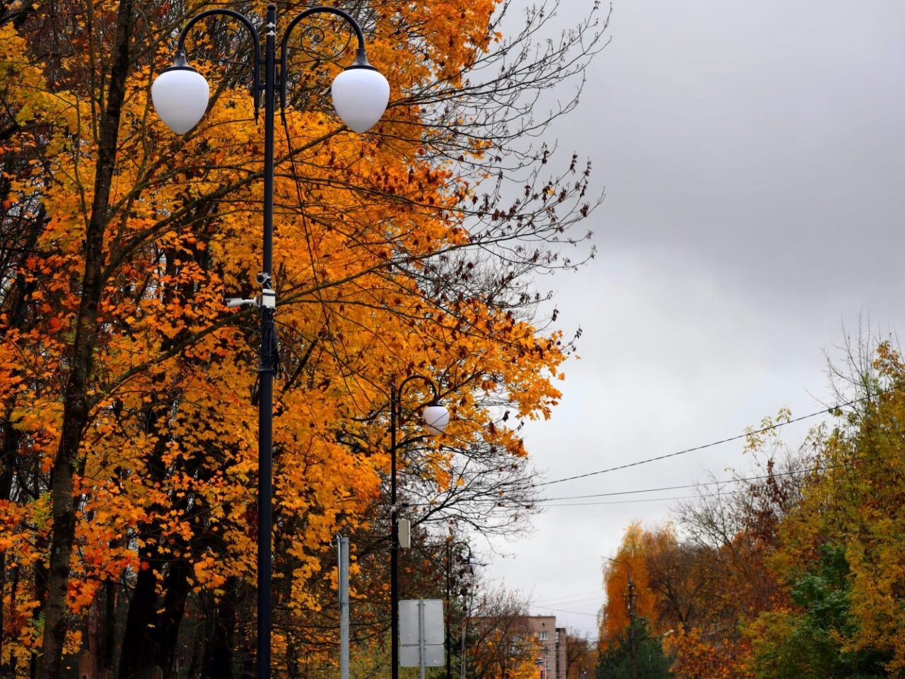Городской сад