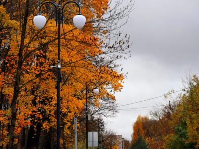 Городской сад