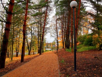 Городской сад