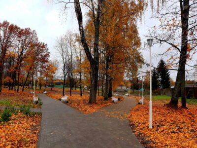 Городской сад