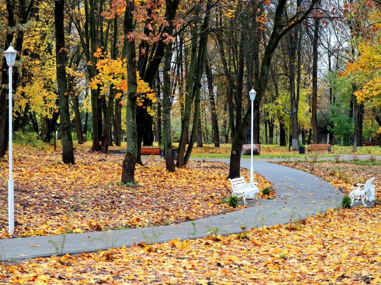 Городской сад